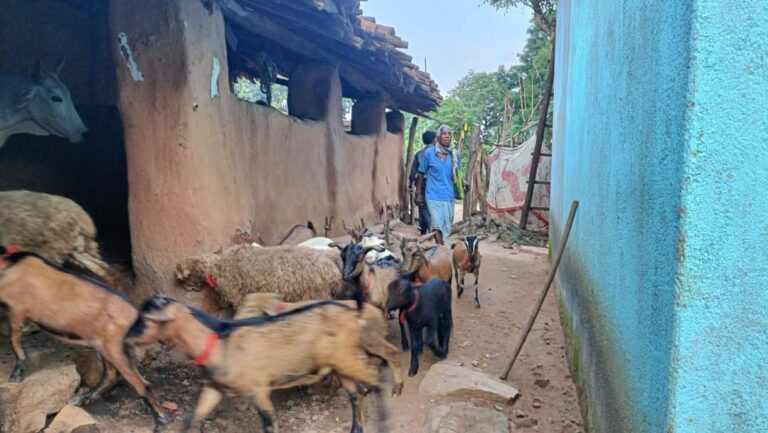 अमृत महोत्सव वर्ष में एक आदिवासी गांव की अंतर्व्यथा